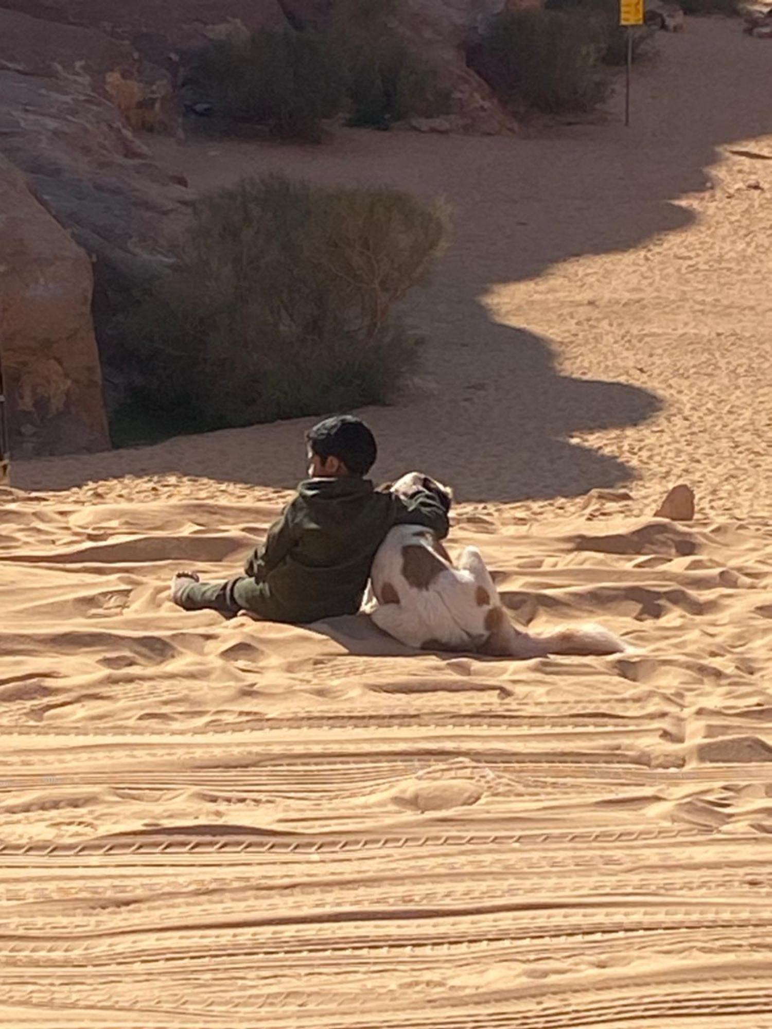 Wadi Rum Bedouin Heart Camp Luaran gambar
